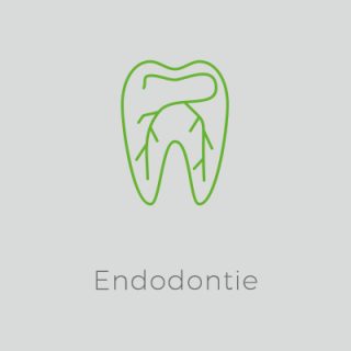 Endodontie - Zahnarztpraxis Ulm